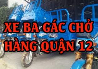 Xe ba gác chở hàng quận 12